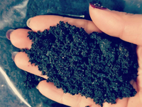 黑油膏三级